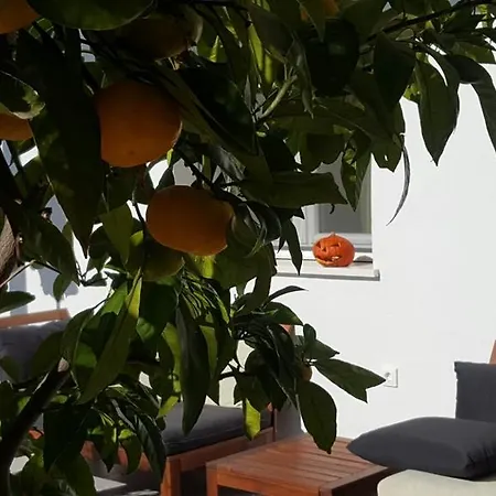 Apartment Kairos